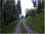 Planina Kosmačeve Rastke - Lanež
